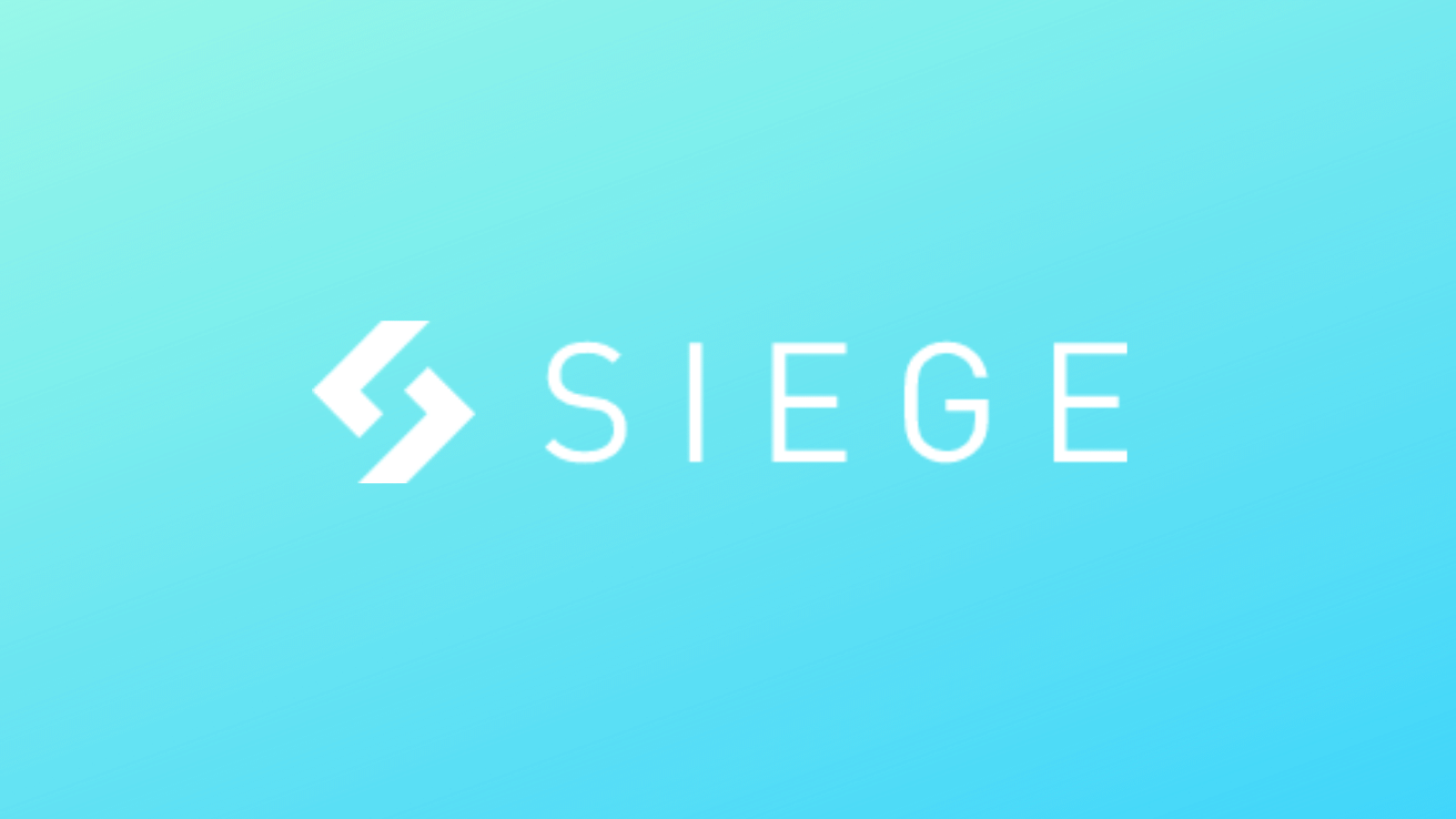 Tina Kokkinos Joins Siege FX As COO