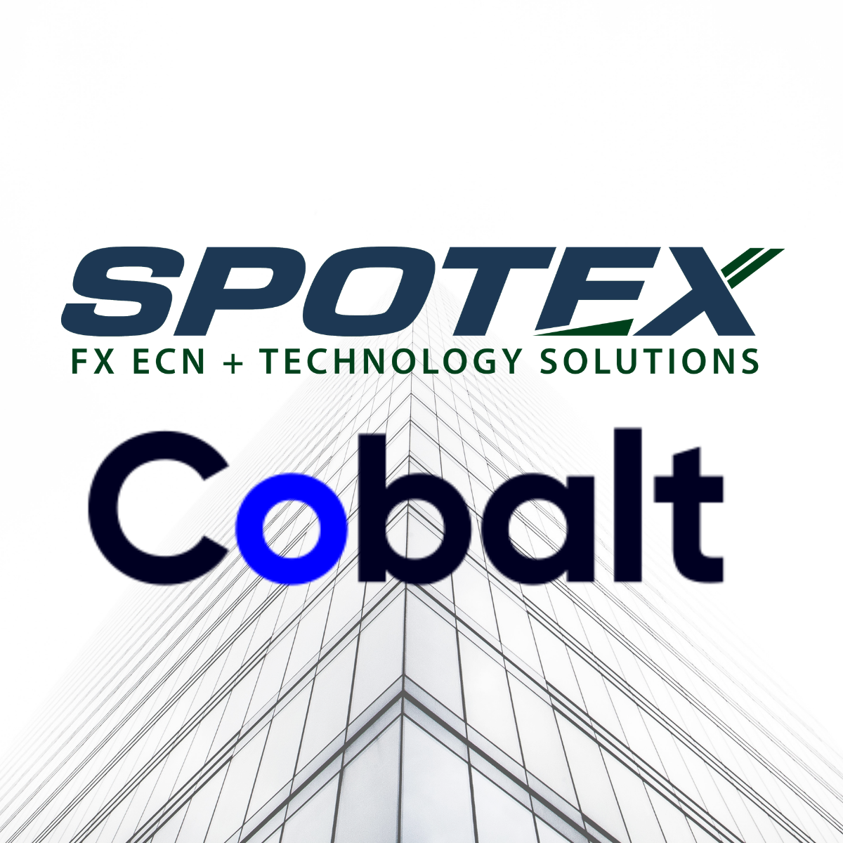 Spotex Partners With Cobalt For Realtime Credit Management