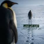 profile image formember on LiquidityFinder