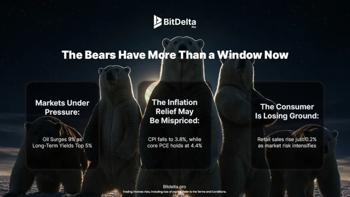 The bears have more than a window now