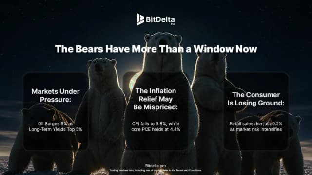 The bears have more than a window now