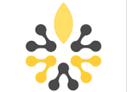 Image for MMI