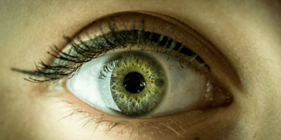 A Single Source of Truth: The Foundation of Profitable Brokerage Operations