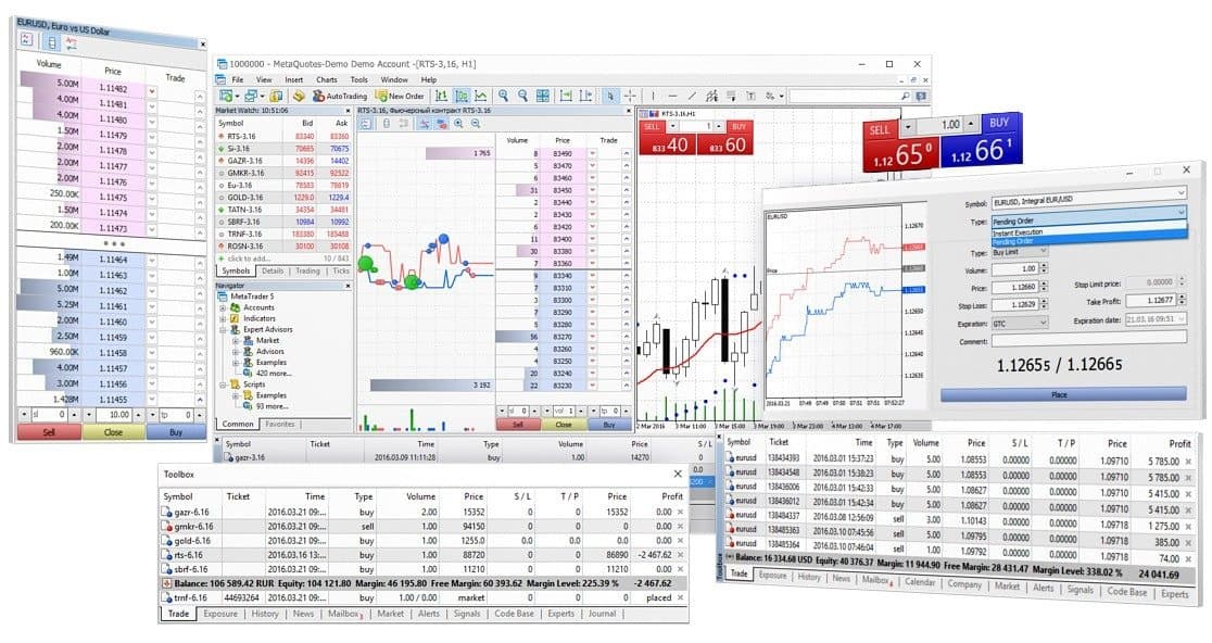 Image for How to Set Up a MetaTrader Platform for a Forex Brokerage | Broktinger