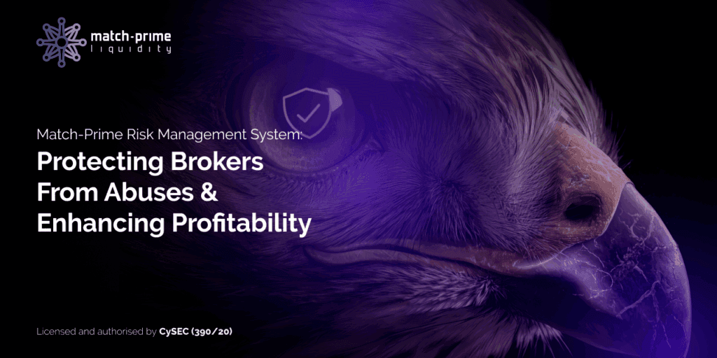 Liquidity Provider's Risk Management System