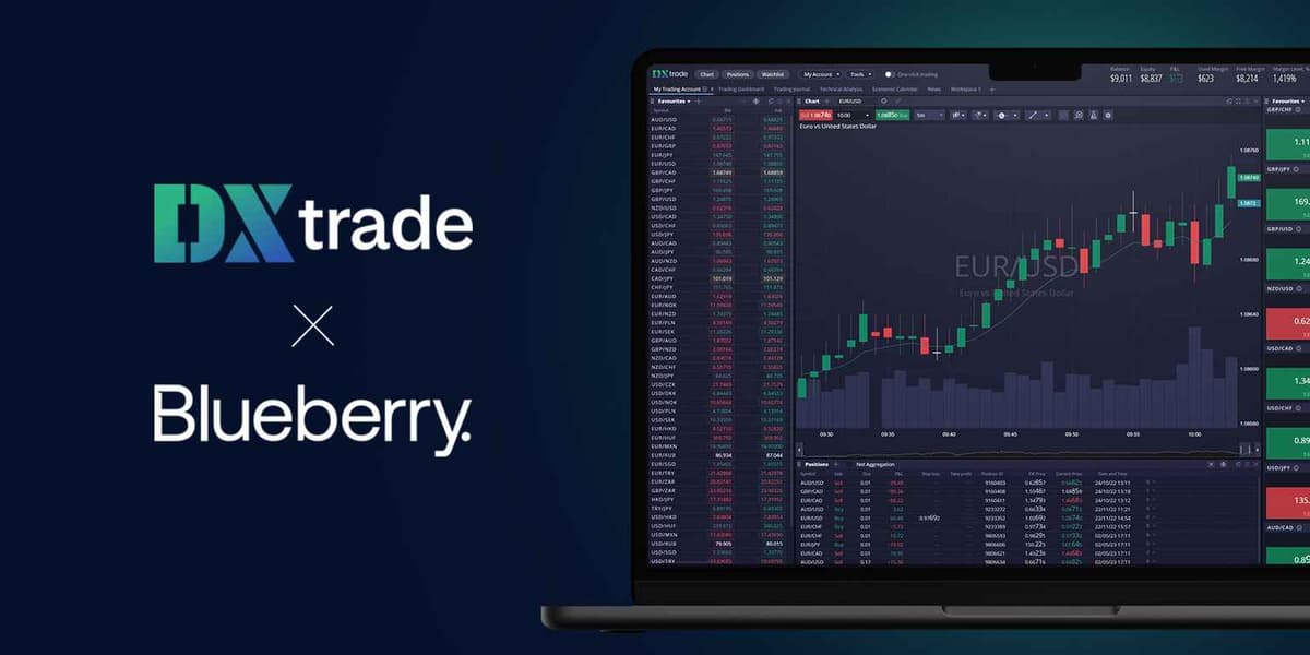 DXtrade Blueberry