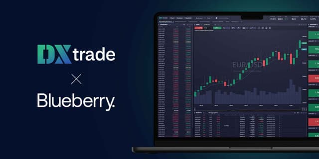 DXtrade Blueberry