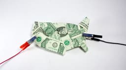 Thumbnail for U.S. Economic Resilience Fuels Dollar Strength Amid Mixed Global Outlook