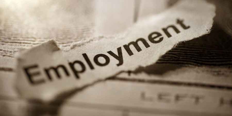 USA Employment and Economic Report: June Analysis