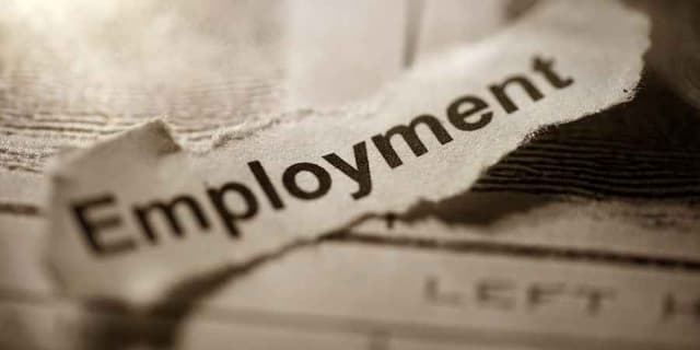 Image for article: USA Employment and Economic Report: June Analysis