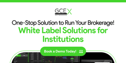 Thumbnail for Revolutionizing Brokerage Success: The Power of White Label Solutions in FX Trading Technology