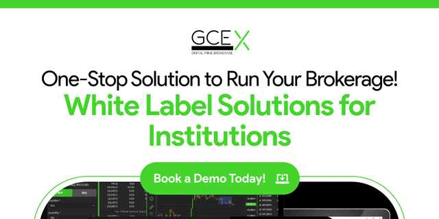 Image for article: Revolutionizing Brokerage Success: The Power of White Label Solutions in FX Trading Technology