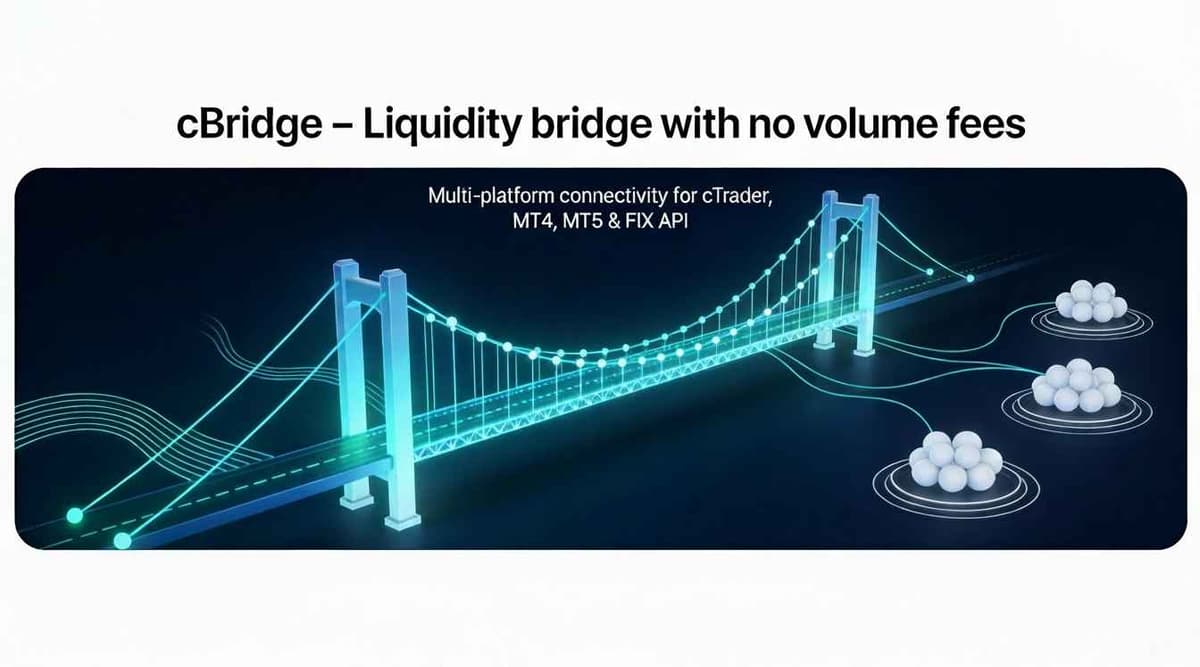 Image for cBridge - the bridge with no volume fees