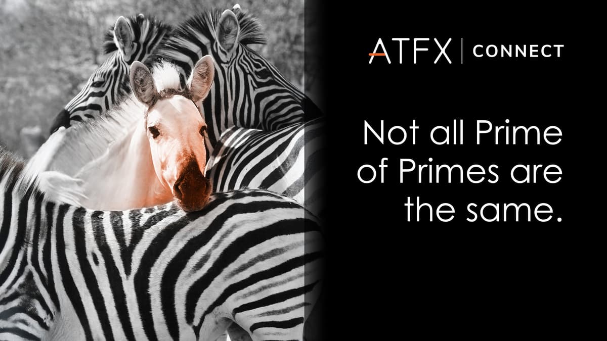 Image for Not All "Prime of Prime" Brokers Are Created Equal - ATFX Connect
