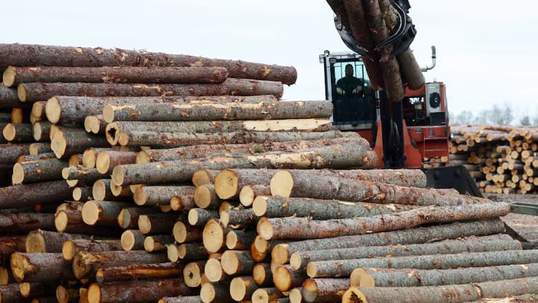 Image for CME Group To Launch New Lumber Futures Contract Amid US-Canada 'Economic War' - FinanceFeeds