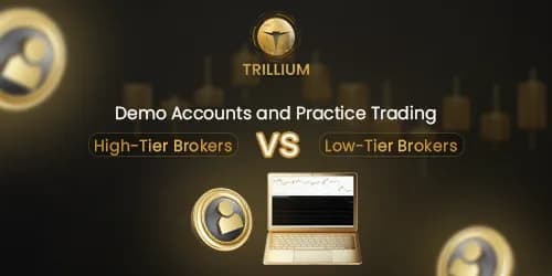 Image for Demo Accounts and Practice Trading: High-Tier Brokers vs. Low-Tier Brokers | Trillium Financial Broker