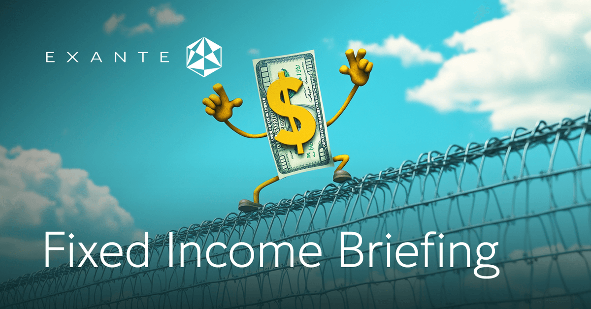 Image for Fixed Income Briefing January 2025