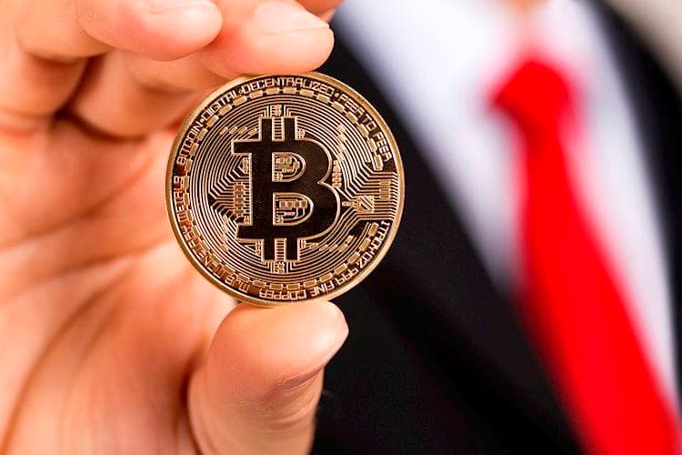 Image for VanEck: Bitcoin reserve could cut US debt by 36% by 2050