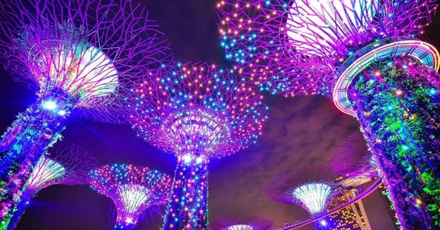 CFH Systems to Open Office in Singapore