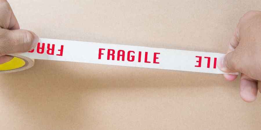 The Fed’s Fragile Independence and What It Means for the Dollar The Fed’s Fragile Independence and What It Means for the Dollar