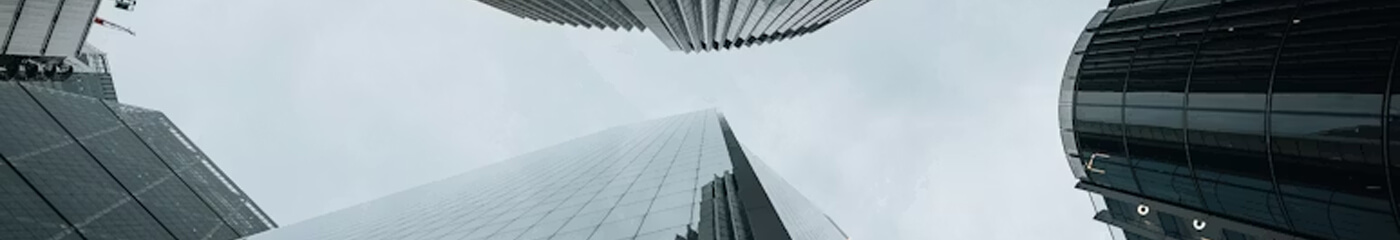 profile banner